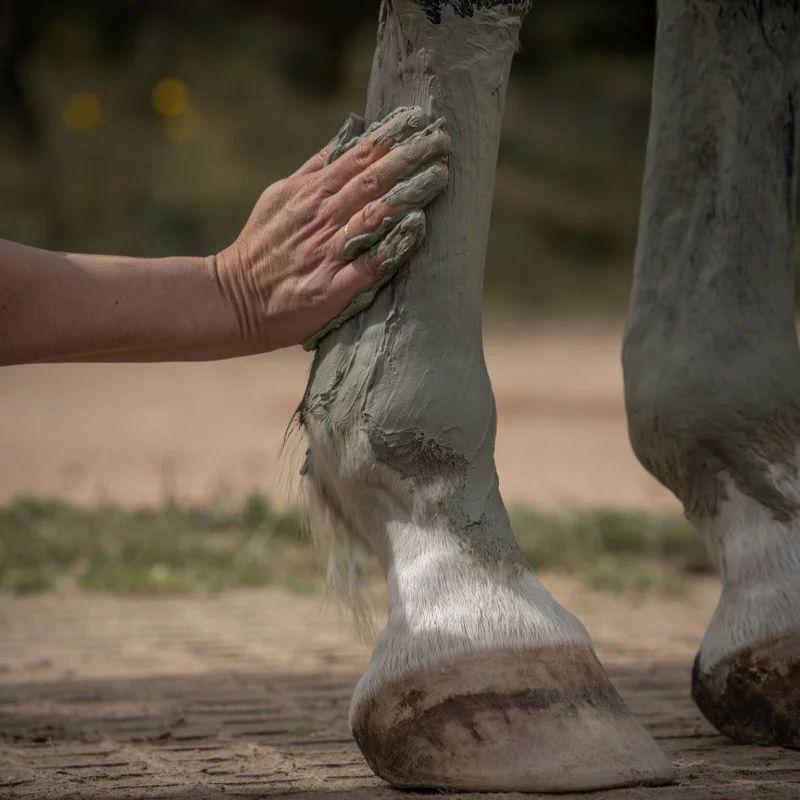 Cataplasme d'argile Drainage & Détox Nellumbo - Argile cheval drainage - Le Paturon