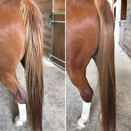Soin Démêlant crins Nellumbo - Démêlant lustrant cheval - Le Paturon