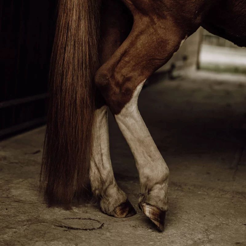 Soin Démêlant crins Nellumbo - Démêlant lustrant cheval - Le Paturon