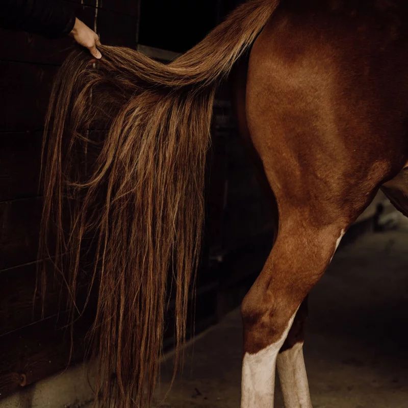 Soin Démêlant crins Nellumbo - Démêlant lustrant cheval - Le Paturon