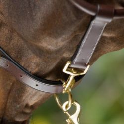 Licol cheval Grooming et transport cuir HFI Master brun - Le Paturon