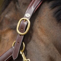 Licol cheval Grooming et transport cuir HFI Master brun - Le Paturon