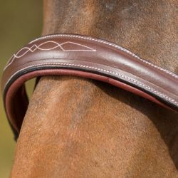 Licol cheval Grooming et transport cuir HFI Master brun - Le Paturon