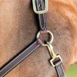 Licol cheval cuir coutures crèmes HFI Master brun - Le Paturon