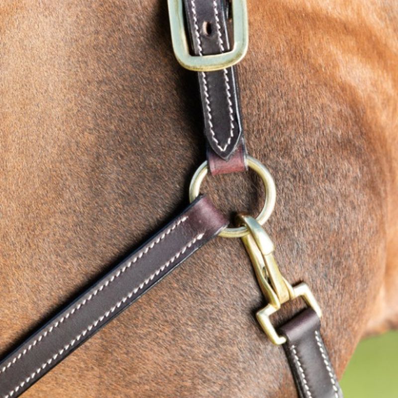 Licol cheval cuir coutures crèmes HFI Master brun - Le Paturon