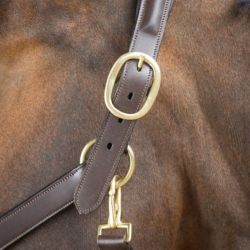 Licol cheval cuir muserolle bombée HFI Master brun - Le Paturon