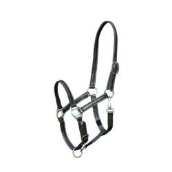 Licol poulain cuir souple HFI Master noir - Le Paturon