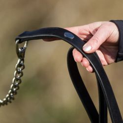 Longe cheval de présentation cuir et chaîne HFI Master noir - Le Paturon