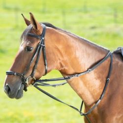 Enrênement cheval Thiedeman avec rênes anneaux HFI Master noir - Le Paturon