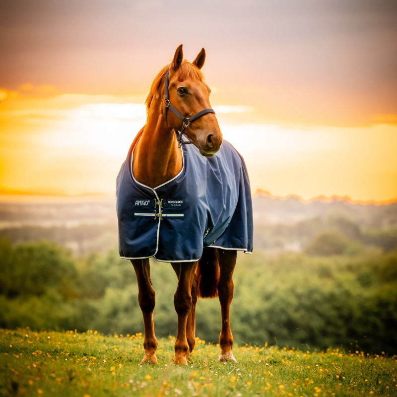 Couverture extérieur poney Amigo Ripstop 50g 900 deniers Horseware - Le Paturon