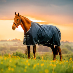 Couverture extérieur poney Amigo Ripstop 0g 900 deniers Horseware marine - Le Paturon