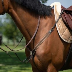 Collier de chasse cheval élastique et martingale HFI Master brun brun - Le Paturon