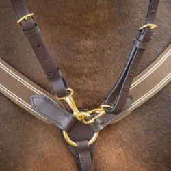 Collier de chasse cheval élastique et martingale HFI Master brun brun - Le Paturon