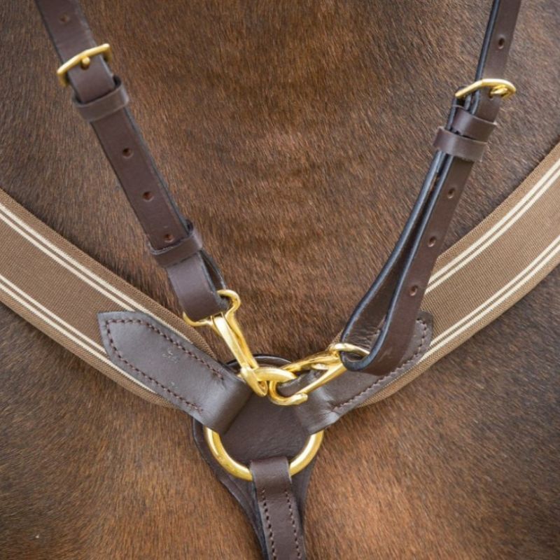 Collier de chasse cheval élastique et martingale HFI Master brun brun - Le Paturon