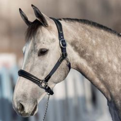 Licol cheval Mixed cuir nylon hybride HFI Master noir - Le Paturon