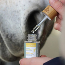 Sérum sérénité Nellumbo - Sérum stress cheval - Le Paturon