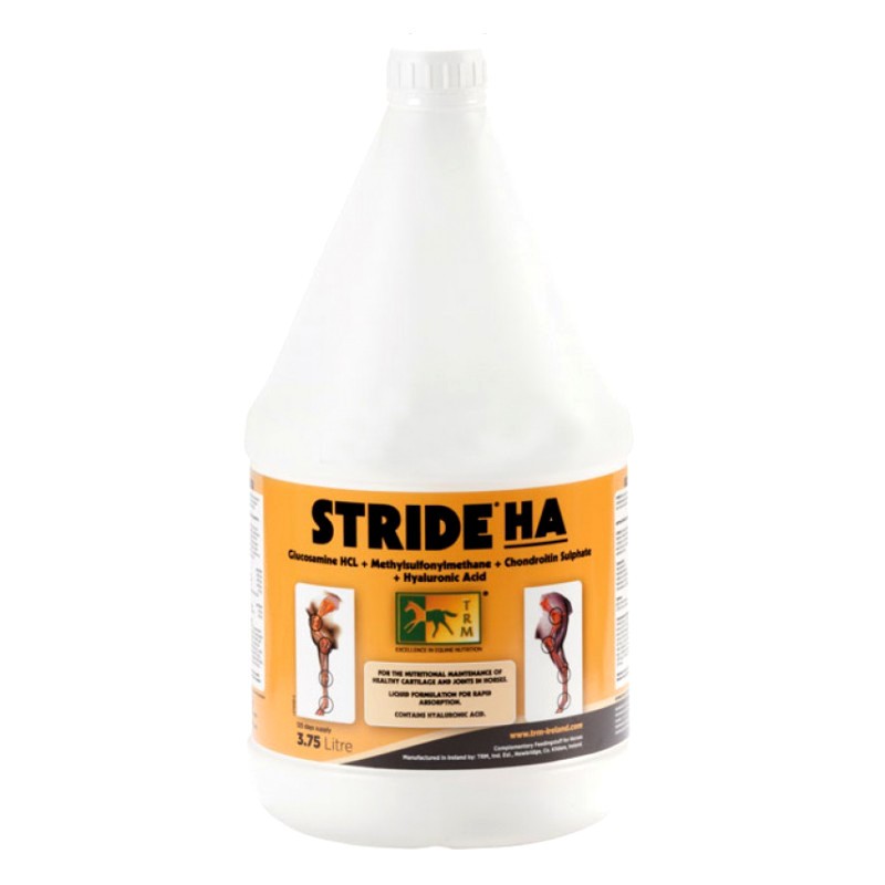 3 Stride HA, TRM, Articulation cheval, Le Paturon