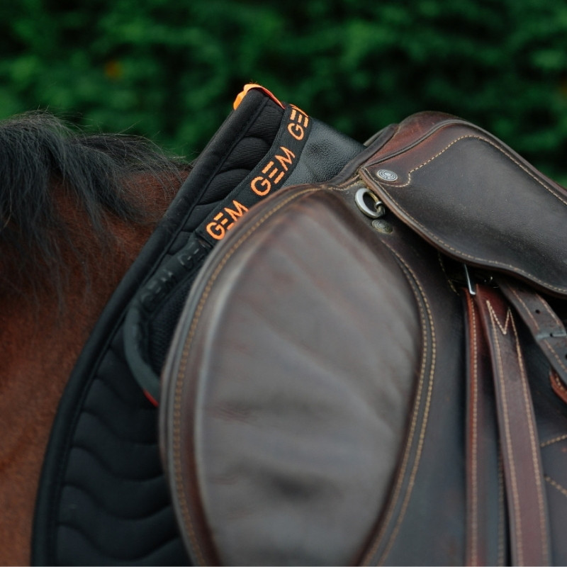 Amortisseur cheval Oscar GEM noir corail - Le Paturon