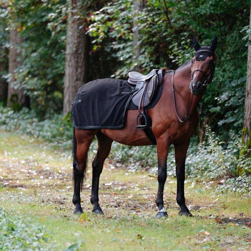 Couvre-reins cheval Tao GEM noir