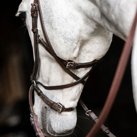 Bitless Horseware cheval Micklem 