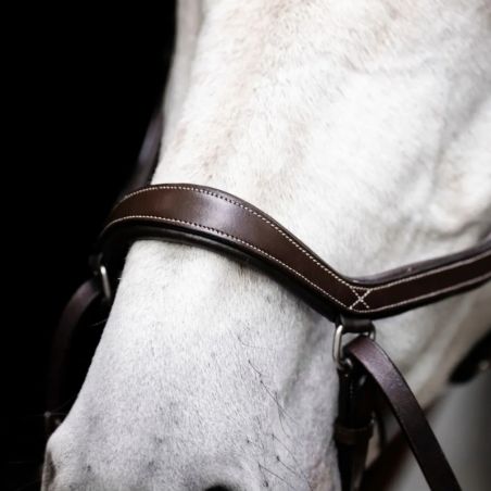 Bitless Horseware cheval Micklem 