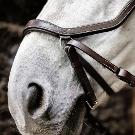 Bitless Horseware cheval Micklem 