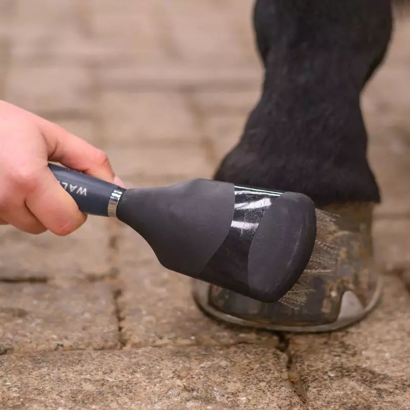 Cure-Pied & Brosse Sabot Cheval 2 En 1 – Manche Bois Naturel, Nettoyage Sabots, Selles, Harnachement & Bottes