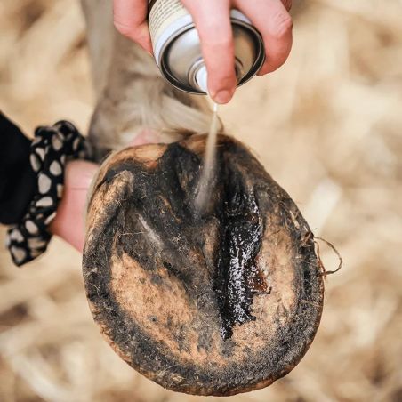 Pedicade Ravene - Fourchette huile de cade cheval 500ml - Le Paturon