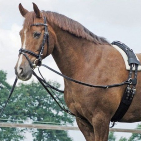 1 Rênes Vienne reliées Y Waldhausen, Rênes reliées cheval, Le Paturon - Waldhausen