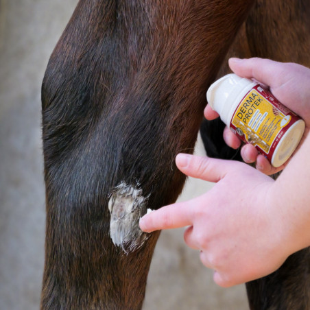 Derma Proteck Kevin Bacon's - soin peau cheval - Le Paturon
