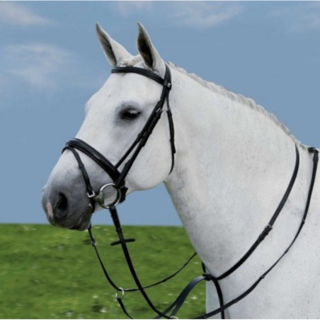 1 Martingale à anneaux, Martingale cheval, Le Paturon - Waldhausen