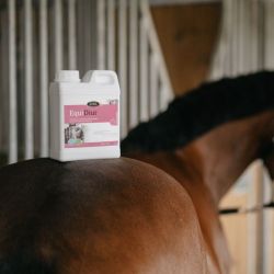 Equidiur Horse Master - Drainage foie reins cheval 1L - Le Paturon