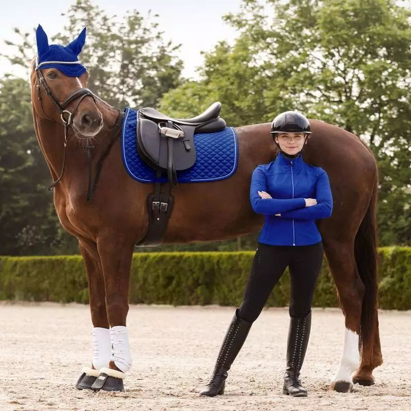 Tapis cheval Felix Glam Waldhausen bleu saphir - Le Paturon