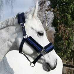 Licol nylon cheval paillettes mouton synthétique Star Kavalkade