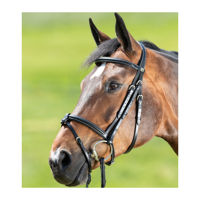Bridon cheval cuir Anatomic HFI