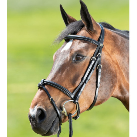 Bridon cheval cuir Anatomic HFI
