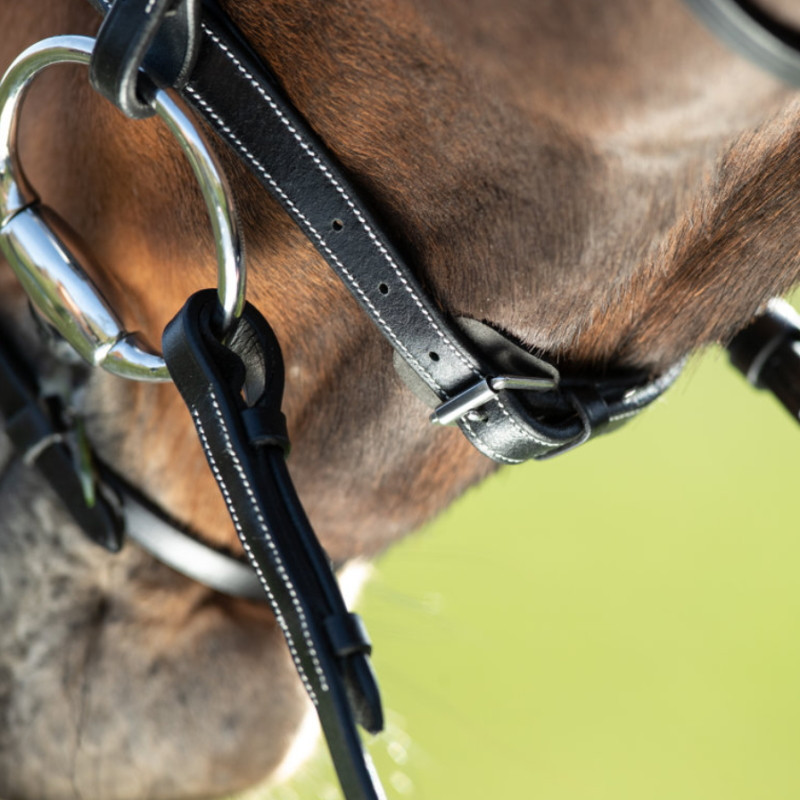 Bridon cheval cuir Anatomic HFI