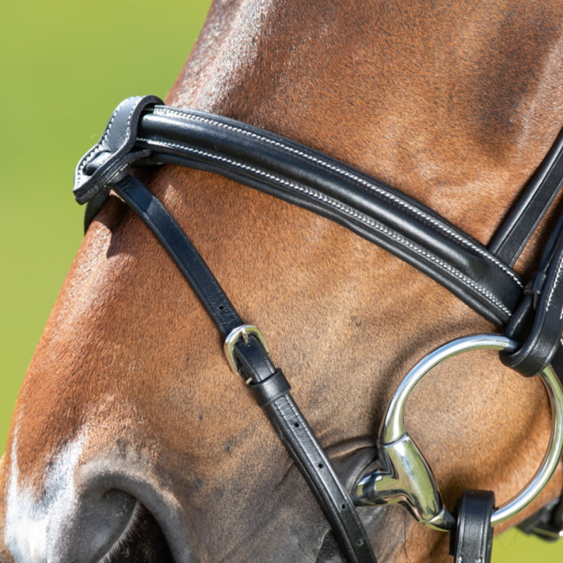 Bridon cheval cuir Anatomic HFI