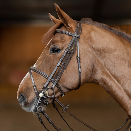Bride cheval Double Jump HFI