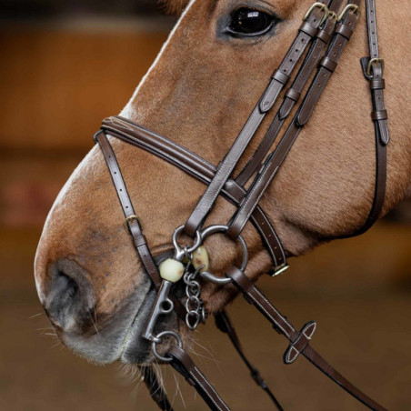 Bride cheval Double Jump HFI