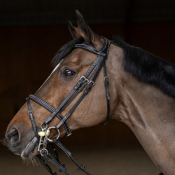 Bride cheval Double Jump HFI