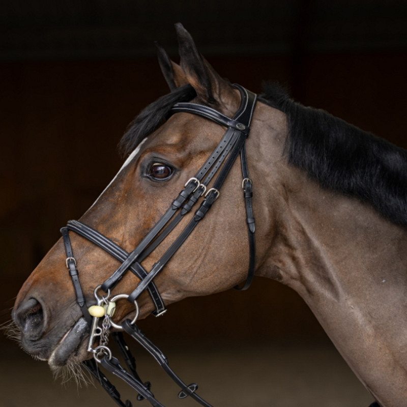 Bride cheval Double Jump HFI