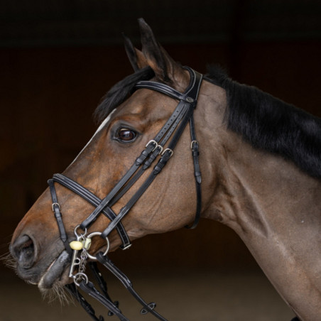 Bride cheval Double Jump HFI