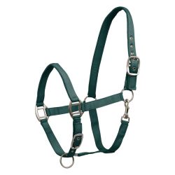 Licol cheval nylon doublé Satin Waldhausen vert sapin - Le Paturon