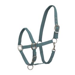 Licol cheval nylon doublé Satin Waldhausen vert pin - Le Paturon