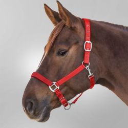 Licol cheval nylon doublé Satin Waldhausen rouge - Le Paturon