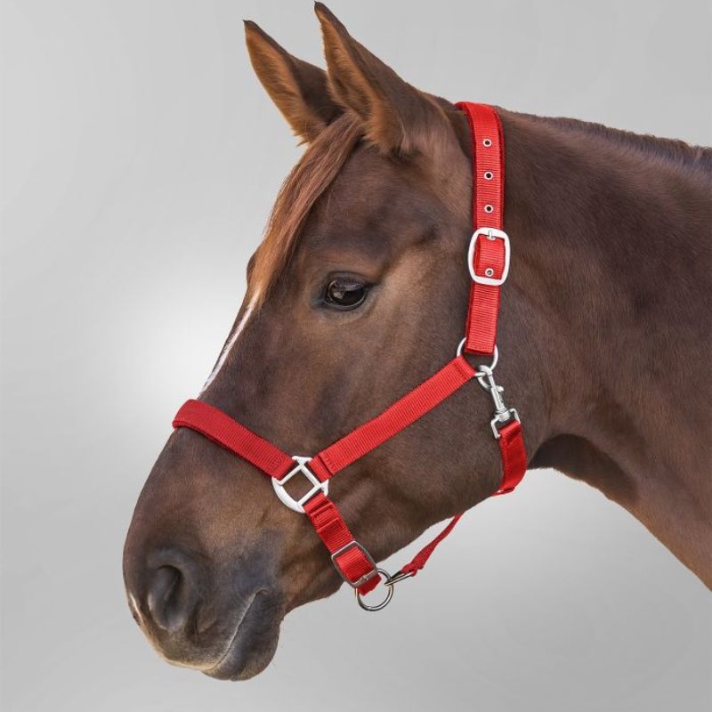 Licol cheval nylon doublé Satin Waldhausen rouge - Le Paturon