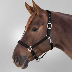 Licol cheval nylon doublé Satin Waldhausen noir - Le Paturon