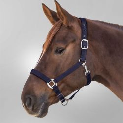 Licol cheval nylon doublé Satin Waldhausen marine - Le Paturon