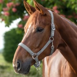 Licol cheval nylon doublé Satin Waldhausen gris chrome - Le Paturon